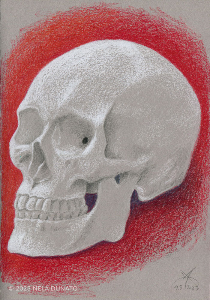 skull drawing design