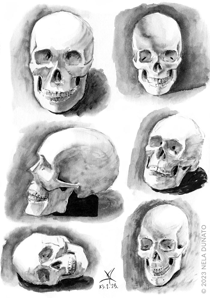 realistic skull tattoo idea, line art, b...